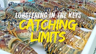How to Catch a LIMIT of Lobster in the Florida Keys (Step-by-Step)