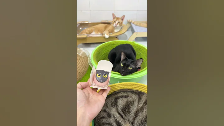 Shop 5 sao, chủ quán 1 sao #vitaminmèo