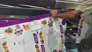 5+1 running HD printing +Vibrator+Stacker in Jordan