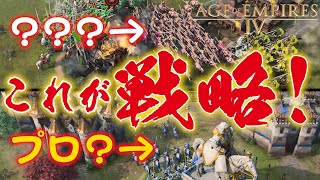 Age of Empires 4 プロ(?)のストラテジーゲームプレイヤーによる戦略の妙 中国 AoE4 エイジオブエンパイア4 IV