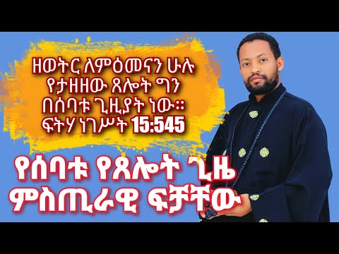 ቪዲዮ: በከተማ እና በባህር ውስጥ ሕይወት