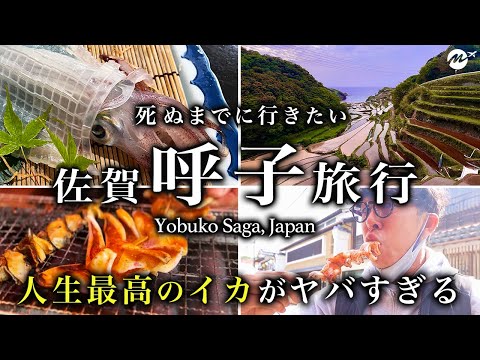 佐賀県呼子ひとり旅。朝市から絶品！呼子イカを食べ歩きしたら人生最高すぎた【グルメ・観光・旅行】