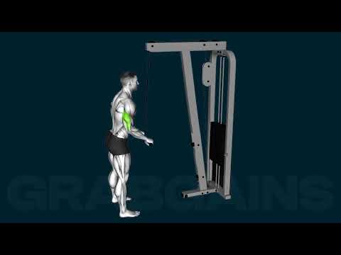 How to do the Tricep Pushdown Cable | GrabGains