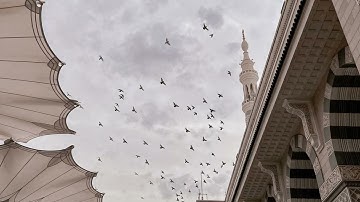 تلاوة مؤثرة لخواتيم سورة النمل 86-93 | الشيخ أحمد الحذيفي | ﴿وَقُلِ الْحَمْدُ لِلَّهِ﴾ المسجد النبوي