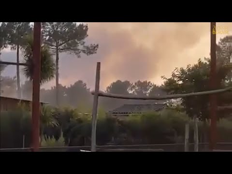 Beauval mobilisé pour sauver les animaux du zoo d'Arcachon