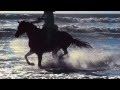 ANDRE RIEU - BOLERO - with DREAM HORSES