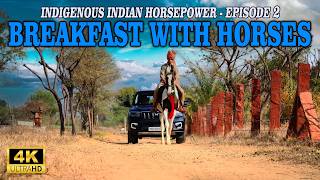 Breakfast With Horses Indigenous Indian Horsepower - Episode 2 With Scorpio-N