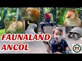 New Normal Faunaland Ancol