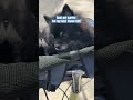 You Need To Get This Https Www Tiktok Com T ZP8Y7PjmT You Need To Get This Https Www Tiktok Com T ZP8Y7PjmT