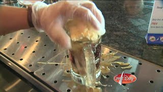 How To Make The Famous Fitz's Root Beer Float