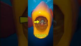 This Parasite Replaces a Fish’s Tongue #Parasite #OceanFacts #DidYouKnow