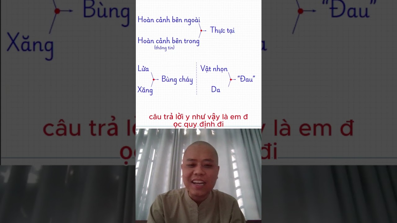 Phản hồi 1 đạo hữu sau khi xem video chủ đề 2: Thực tại