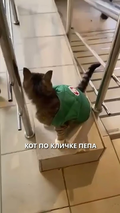 РАБОТНИК ГОДА - YouTube