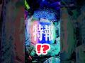 【エヴァ17】LTで0.5%のフラグ!? #パチンコ #はるちん #shorts s#エヴァンゲリオン