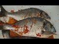 تتبيلة سهلة وبسيطة  لأطيب سمك مقلي يامال الشام
