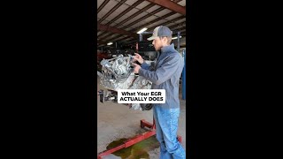 The EGR Misconception Every Diesel Owner Needs to Hear #shorts