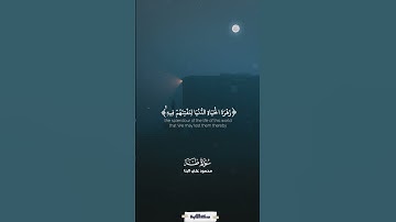 ولا تمدن عينيك إلى ما متعنا به أزواجا منهم | سورة طه | البنا #quran