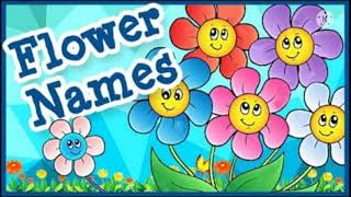 Flowers Name By Fun And Learn With Bhavya