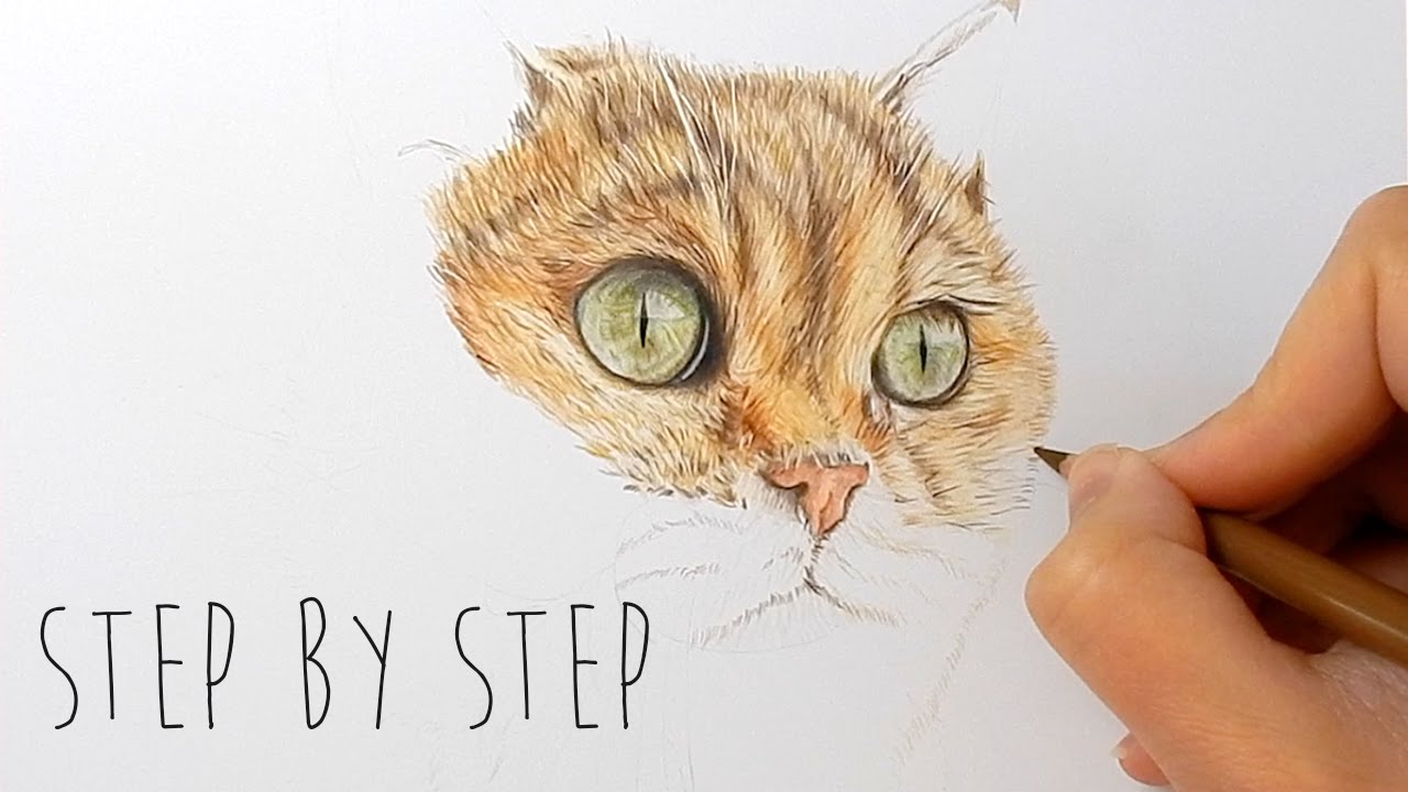 Step by Step | How to draw, color realistic cat fur and nose with