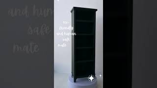 Handmade 16 Scale Doll Bookcase Fit Momoko Eco Friendly Materials