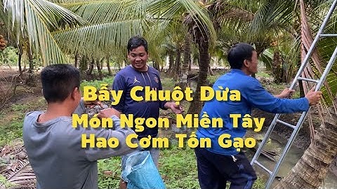 Bẫy Chuột Dừa Trúng Mánh Làm 2 Món Này Hao Cơm Tốn Gạo | Cù Lao Dung Vlogs #911