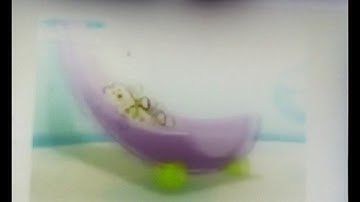 Wow Wow Wubbzy Theme Song In My G Major