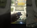 Live highlight