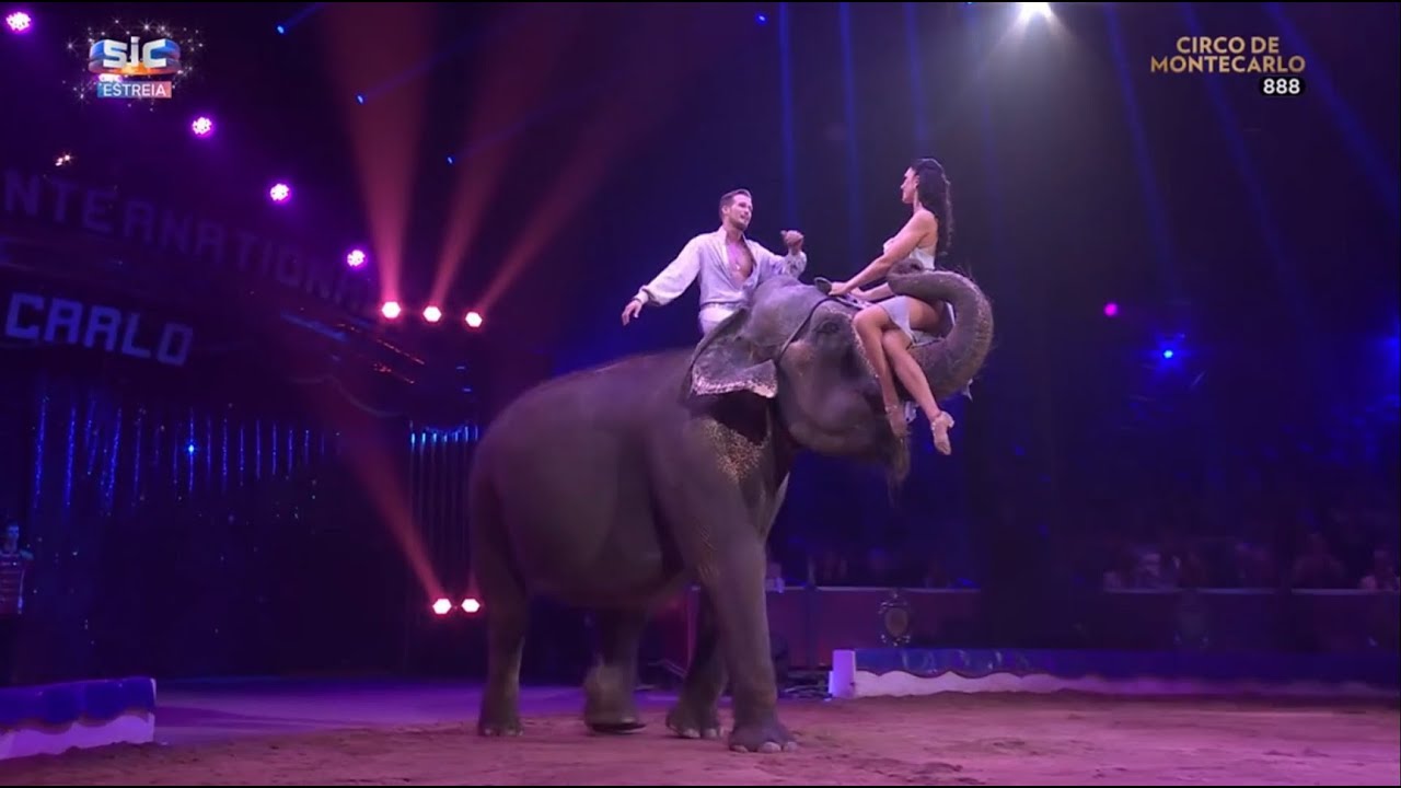 Elvis Errani - Elefantes - 46º Festival Internacional de Circo de Monte-Carlo - Golden Clown