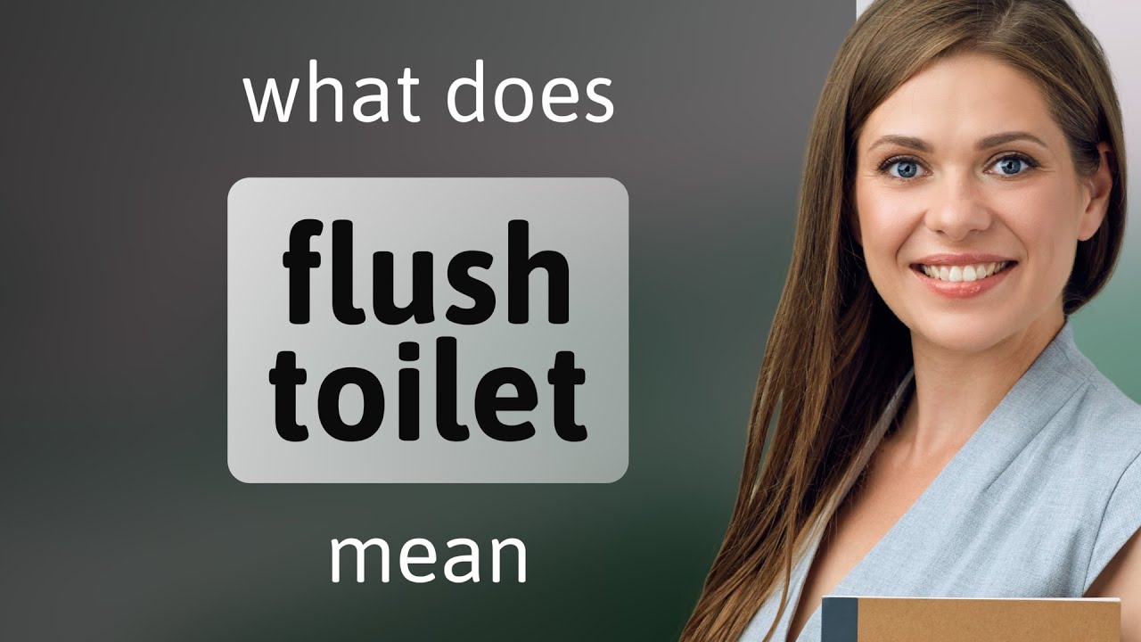 Flush toilet — FLUSH TOILET definition YouTube