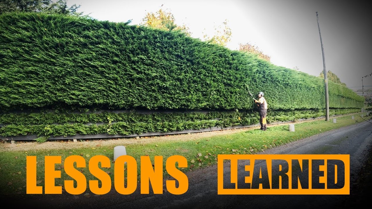 I made a BIG mistake on this Huge Leylandii Hedge. - YouTube