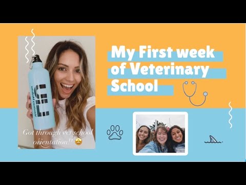 FIRST WEEK OF VET SCHOOL | LIU CVM