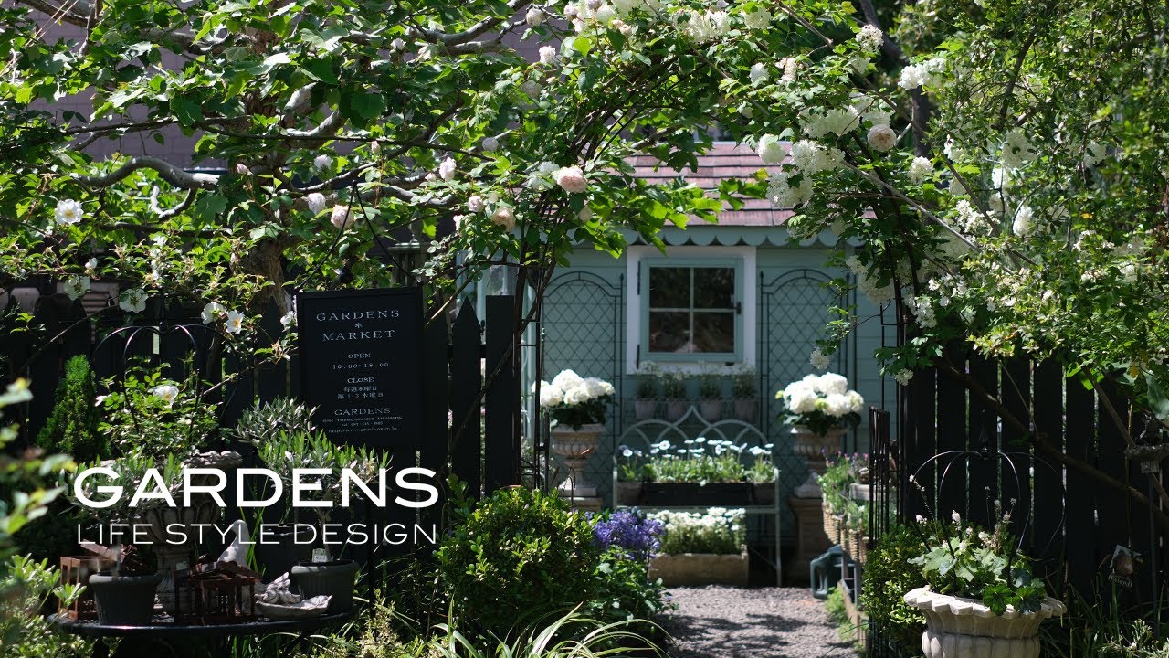 GARDENS】Early Summer Garden Care | The Joy of Decorating with