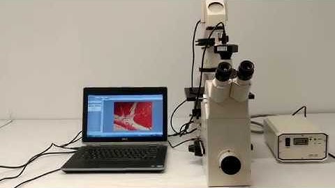 Zeiss Axiovert 135M Inverted Microscope Pred Observer.Z1 [BOSTONIND] - 14372