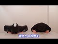 どうか15分だけお時間をください。