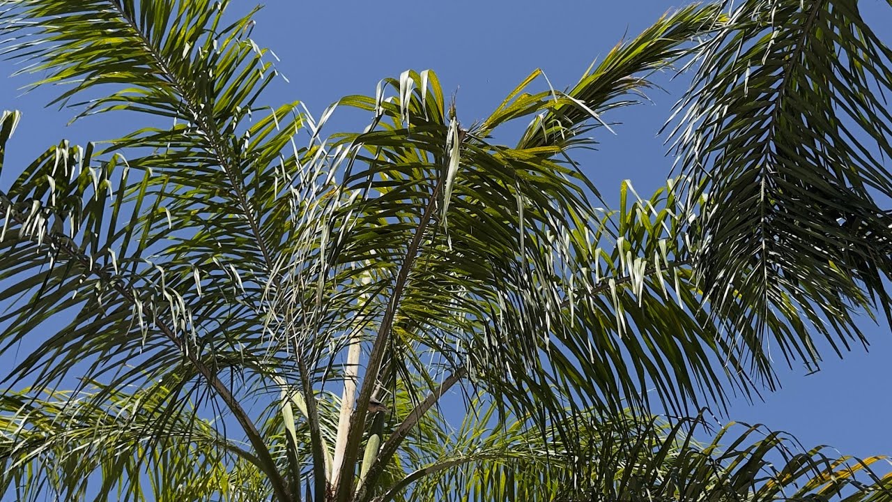 Сила в твоем внимании