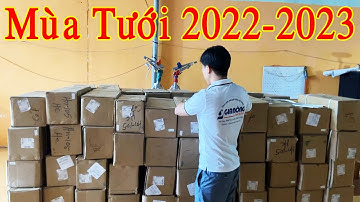 Béc Tưới SKY41 Phục Vụ Mùa Tưới 2022  2023 Thiết Bị Tưới Gia Nông