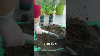 🌱 따라해봐!