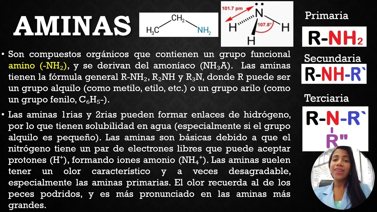 Acidos Carboxilicos, Aminas y reaccion de amidacion con Acido propanoico y etilamina.
