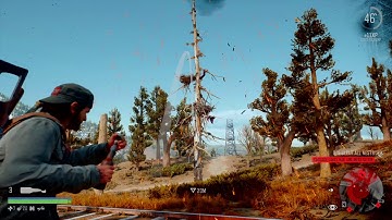 DAYS GONE - Damn Crows!