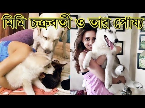 মিমি তার পোষ্যদের সাথে, অবাক করা ভিডিও | Mimi Chakraborty With Pet Dog At Home