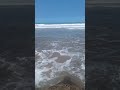 سريني نشوف بلادي 