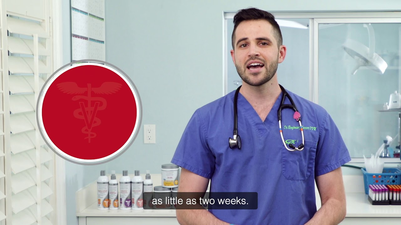 Veterinary Formula Hip & Joint Supplement