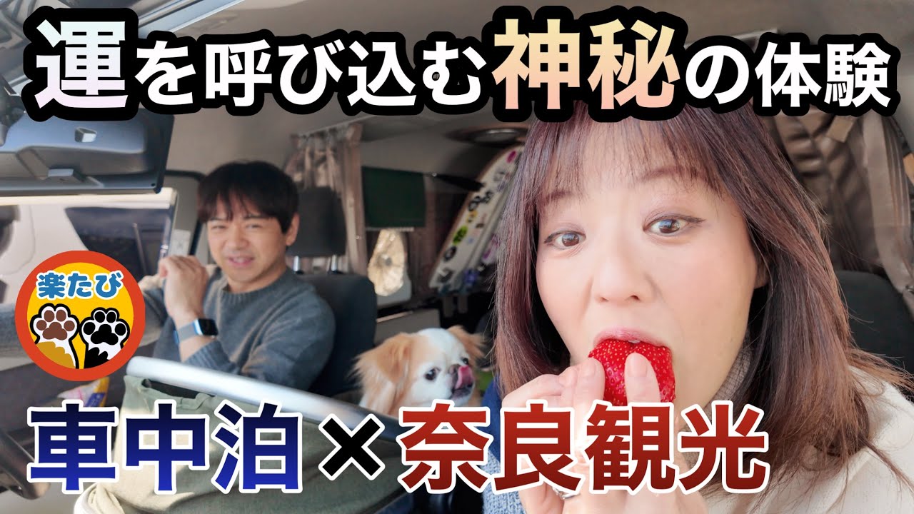 願いが叶うと言われる伝説！車中泊で行く奈良県東大寺の『柱くぐり』の旅