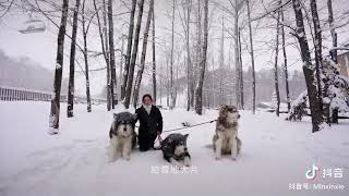 你們都在說長白山柏悅貴不貴，其實要說他值不值！