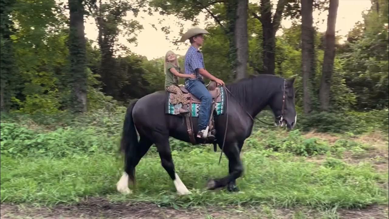 Clyde Hip59 Boone County Horse Sale YouTube