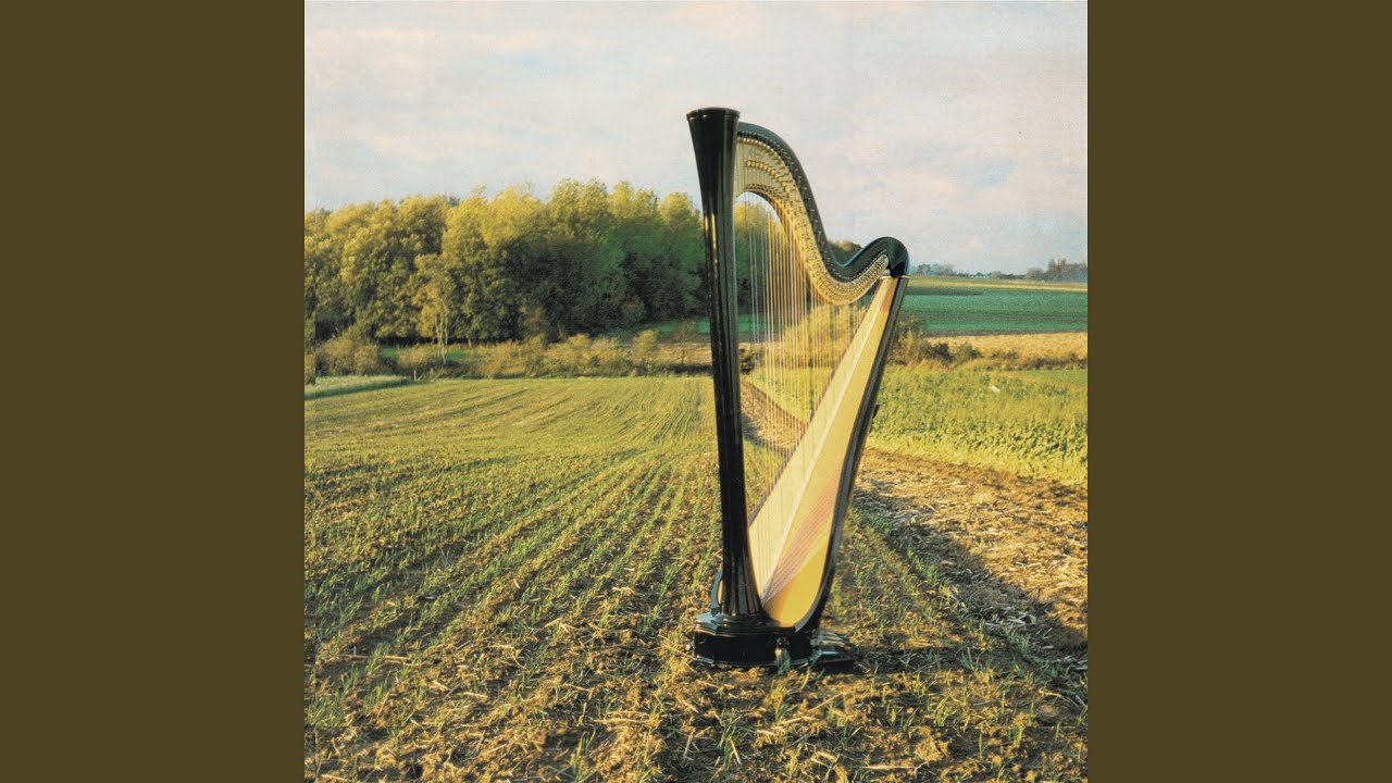 Watch No Plans, No Projects on YouTube Watch No Plans, No Projects on YouTube