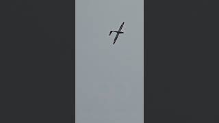 Pilatus B4-PC11AF [CC-K14W] | Acrobatic Presentation in FLY INN 2025 - SCTS, Chile