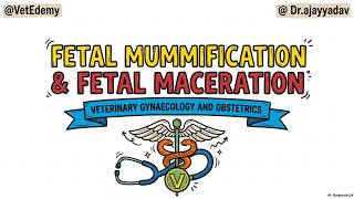 FETAL MACERATION & MUMMIFICATION | Veterinary Gynaecology & Obstetrics | BVSc | ICAR PG | VO Exams