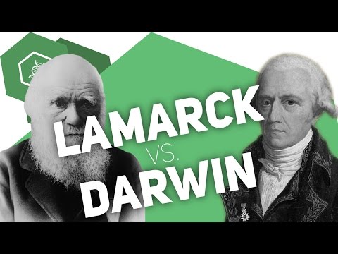 Video: Unterschied Zwischen Lamarckismus Und Darwinismus