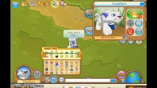 Animal Jam: Buddy List Glitch - 101 Buddies!
